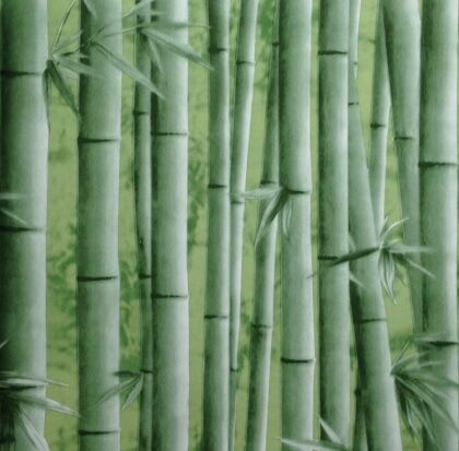 Самоклейка Dekoron 09-1А 2м/45см бамбук зеленый