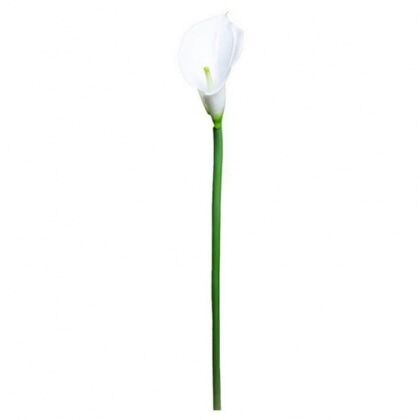 Цветок искусственный Калла белый,срезка 70см