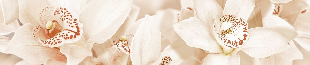 Бордюр AROMA_GT бежевая 45х7,5 1504-0125