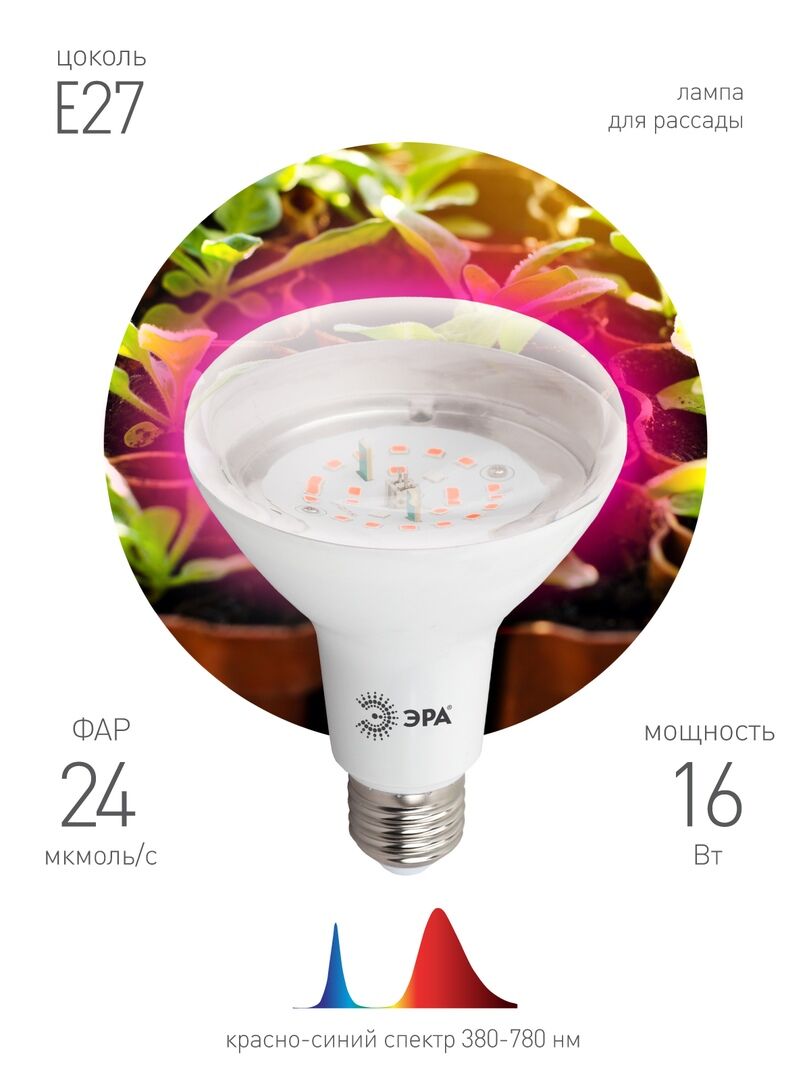 Лампа ЭРА FITO-16W-RB-E27-K