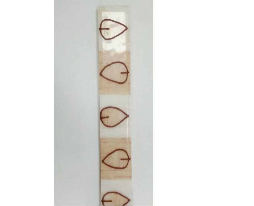 Плитка Тасмания 2 кор 250х30 фриз (бордюр) 1сорт