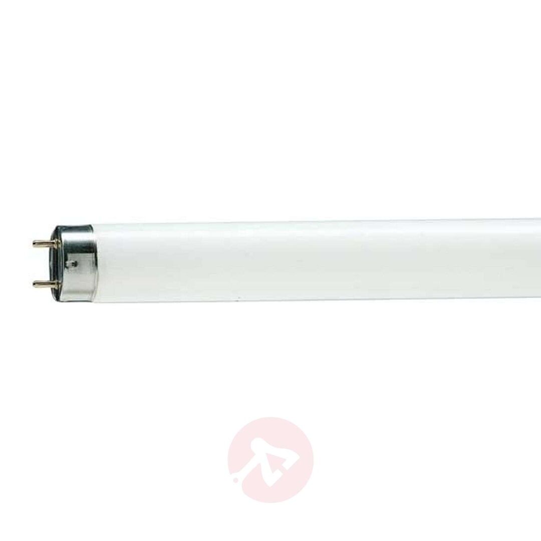 Лампа PHILIPS TLD 58W / 33 люмин.