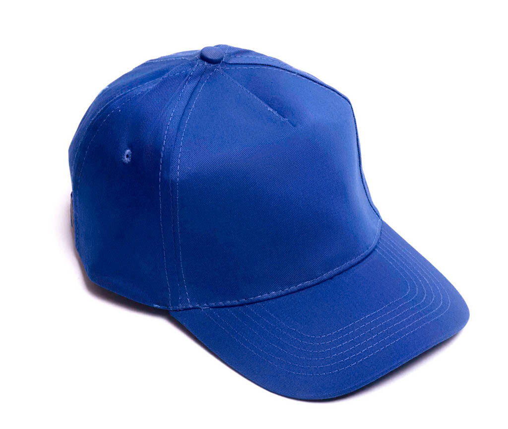 Кепка-бейсболка василёк