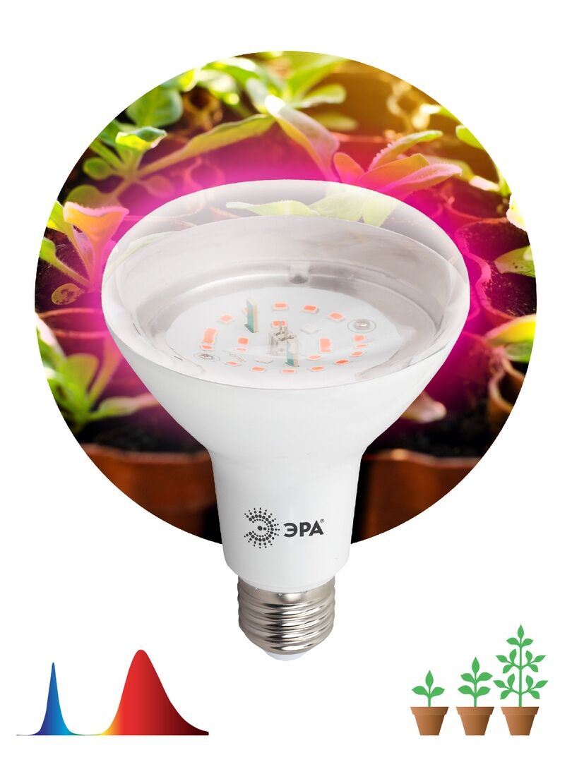 Лампа ЭРА FITO-16W-RB-E27-K