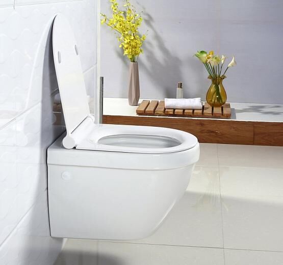 Чаша унитаза CENTO-R подвесного BB509CH+Сиденье дюропласт FLAY/CENTRO/SFERA/VELLA/AMARA/FELICE BB203