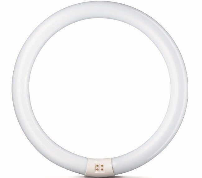 Лампа PHILIPS TLE 32W / 54 G-10 q (кольцевая)