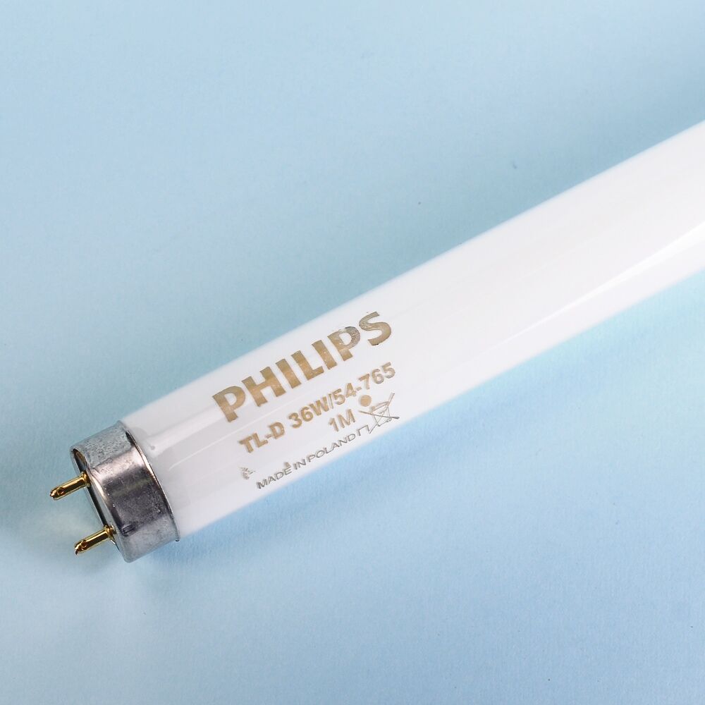 Лампа PHILIPS TLD 36W / 54 люмин.G13