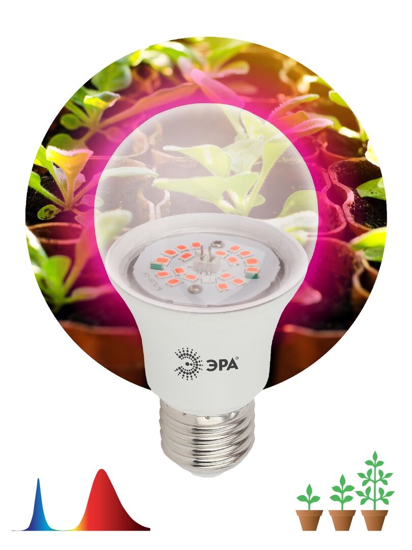 Лампа ЭРА FITO-10W-RB-E27-K красно-синяя