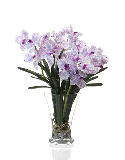 Композиция Орхидея Ванда светло-сиреневая в стекле с водой 31.151298IW