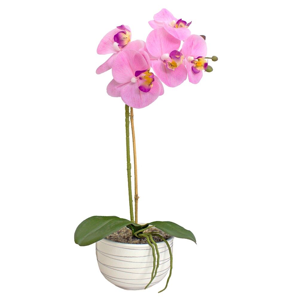 Орхидея Фаленопсис 1 ветки в кашпо 17-130/LA3004